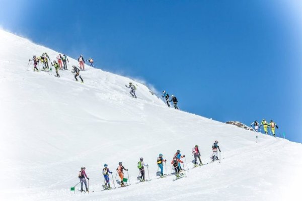 Ссылки даркнет