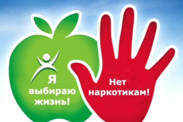 Какая ссылка на кракен